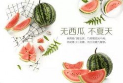吃瓜网站 吃瓜大赛,揭秘网络热议背后的真相与笑料
